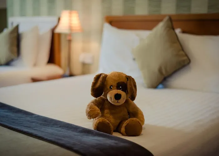 Best Hotels Near Dublin Airport